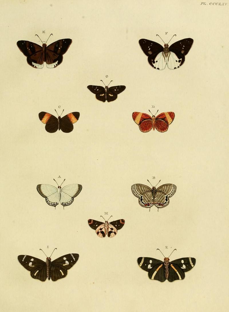 Aanhangsel van het werk, De uitlandsche kapellen (10313596673)