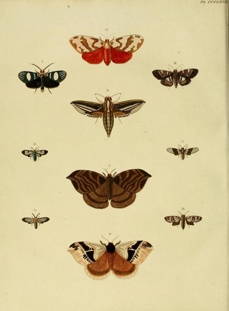 Aanhangsel van het werk, De uitlandsche kapellen (10313602973)