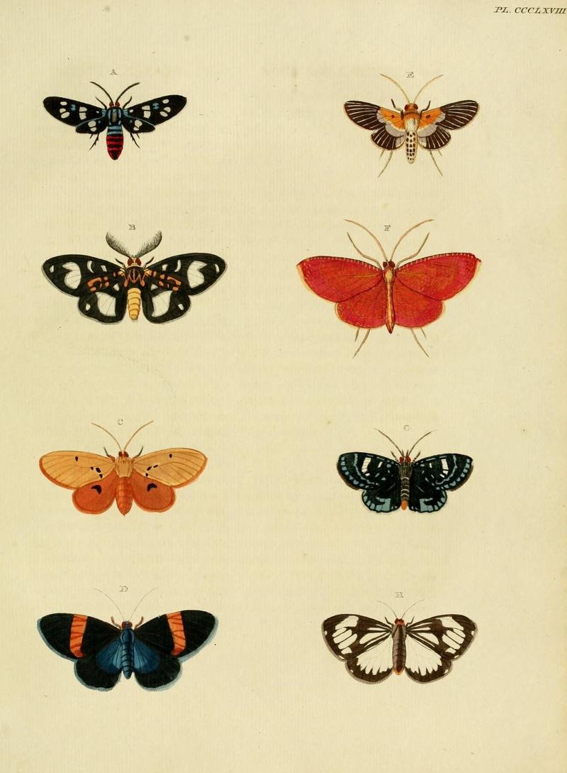 Aanhangsel van het werk, De uitlandsche kapellen (10313605753)