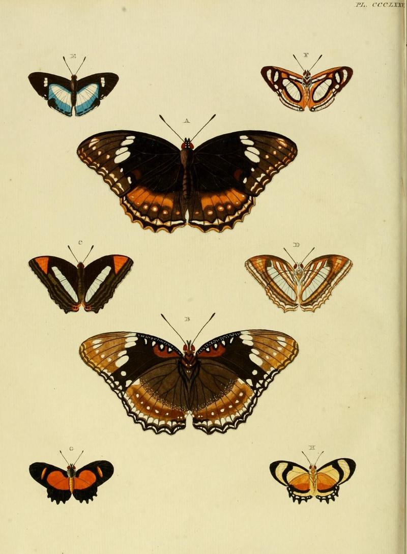 Aanhangsel van het werk, De uitlandsche kapellen (10313628893)