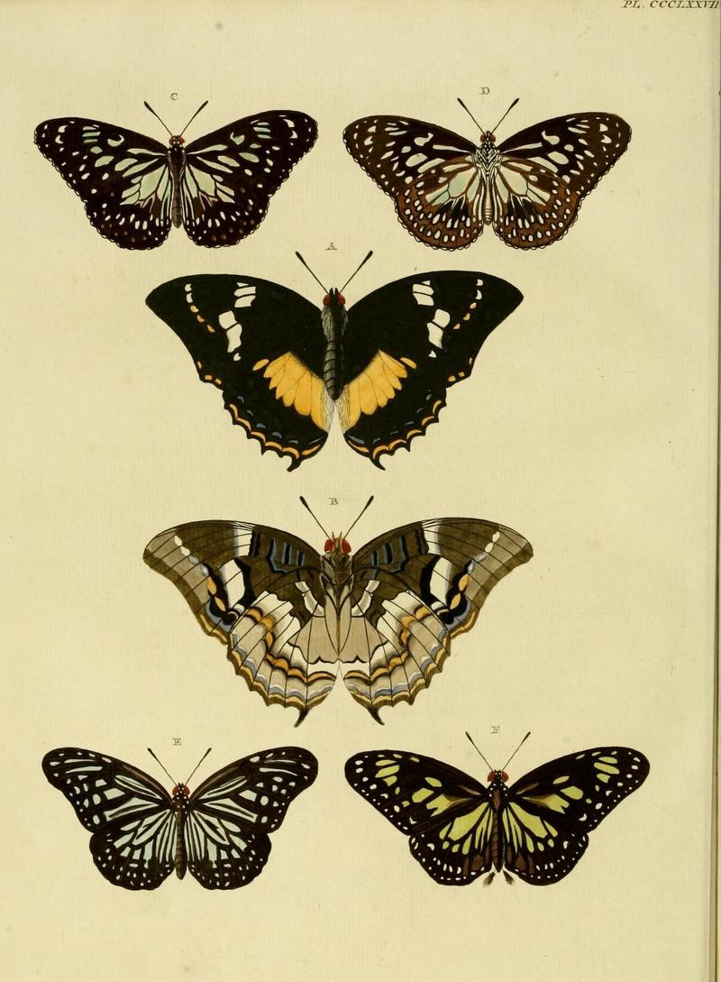 Aanhangsel van het werk, De uitlandsche kapellen (10313632203)