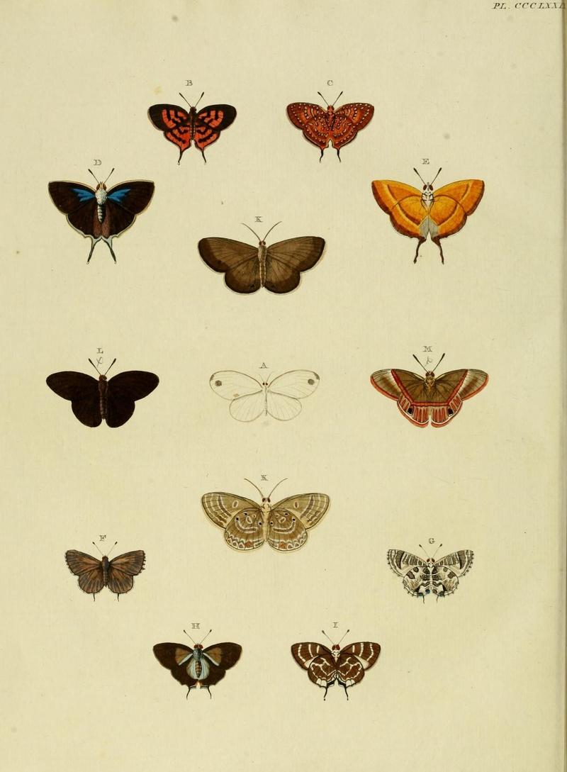 Aanhangsel van het werk, De uitlandsche kapellen (10313637233)