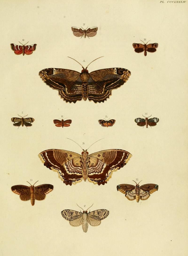 Aanhangsel van het werk, De uitlandsche kapellen (10313651763)