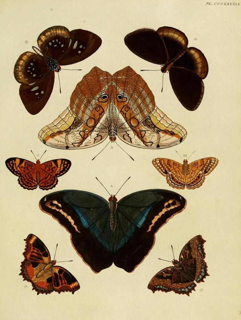 Aanhangsel van het werk, De uitlandsche kapellen (10313666283)