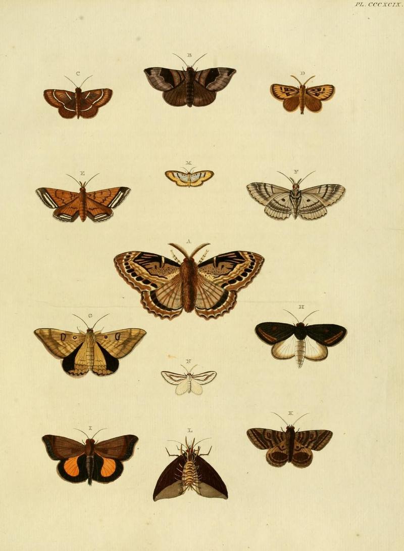 Aanhangsel van het werk, De uitlandsche kapellen (10313695453)