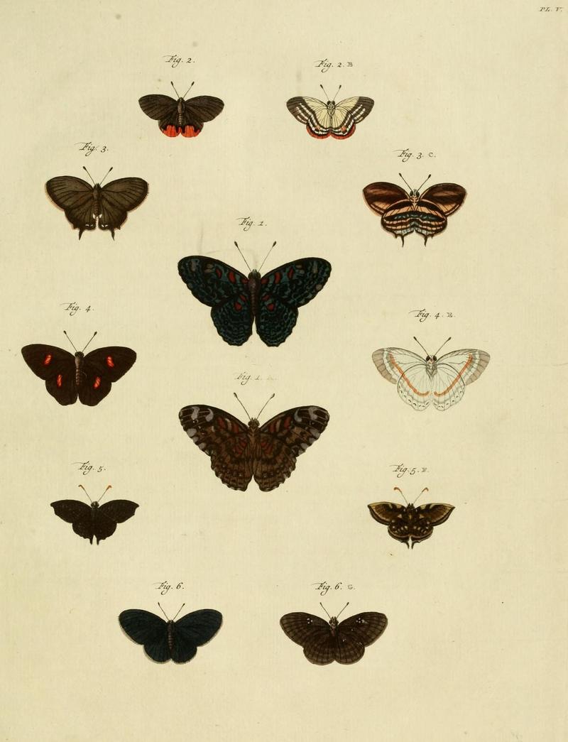 Aanhangsel van het werk, De uitlandsche kapellen (10422859904)