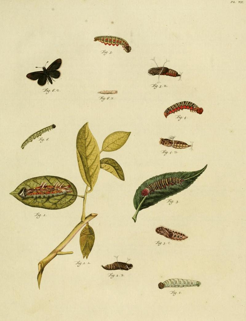 Aanhangsel van het werk, De uitlandsche kapellen (10422865204)