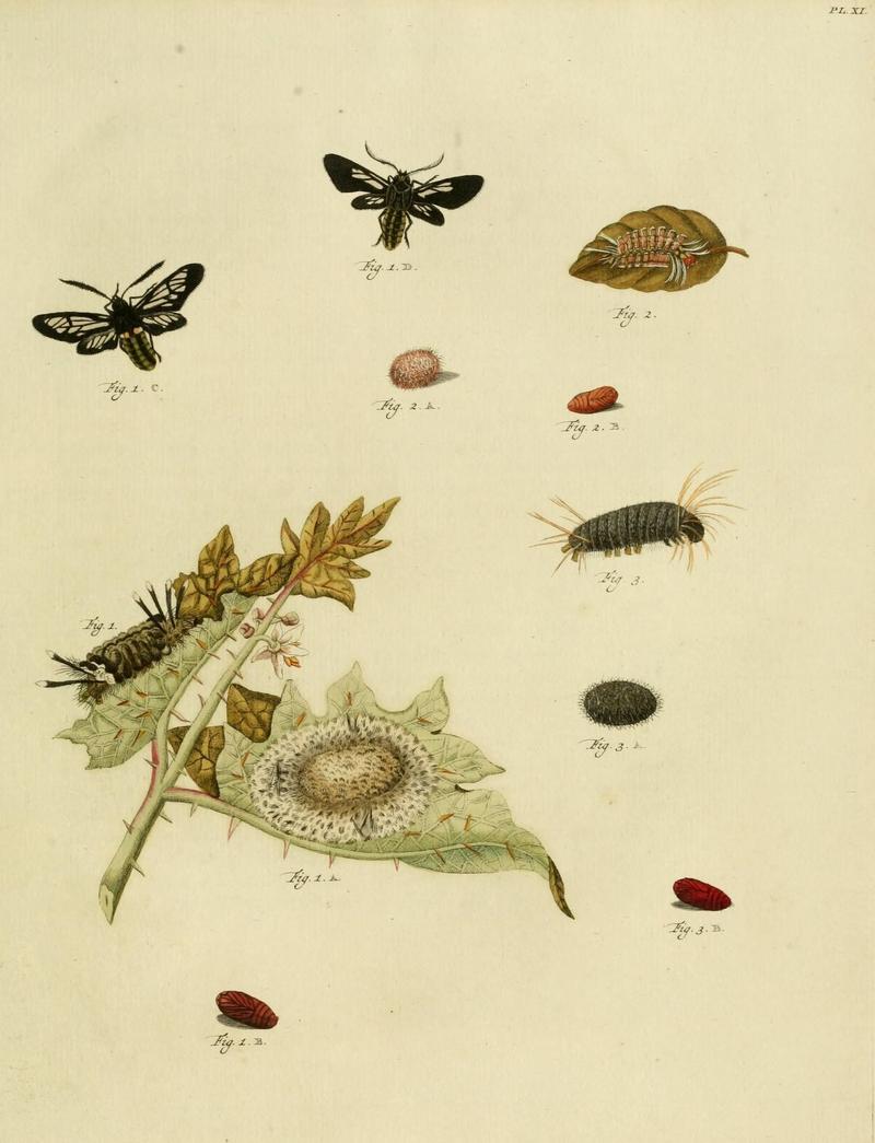 Aanhangsel van het werk, De uitlandsche kapellen (10422878214)