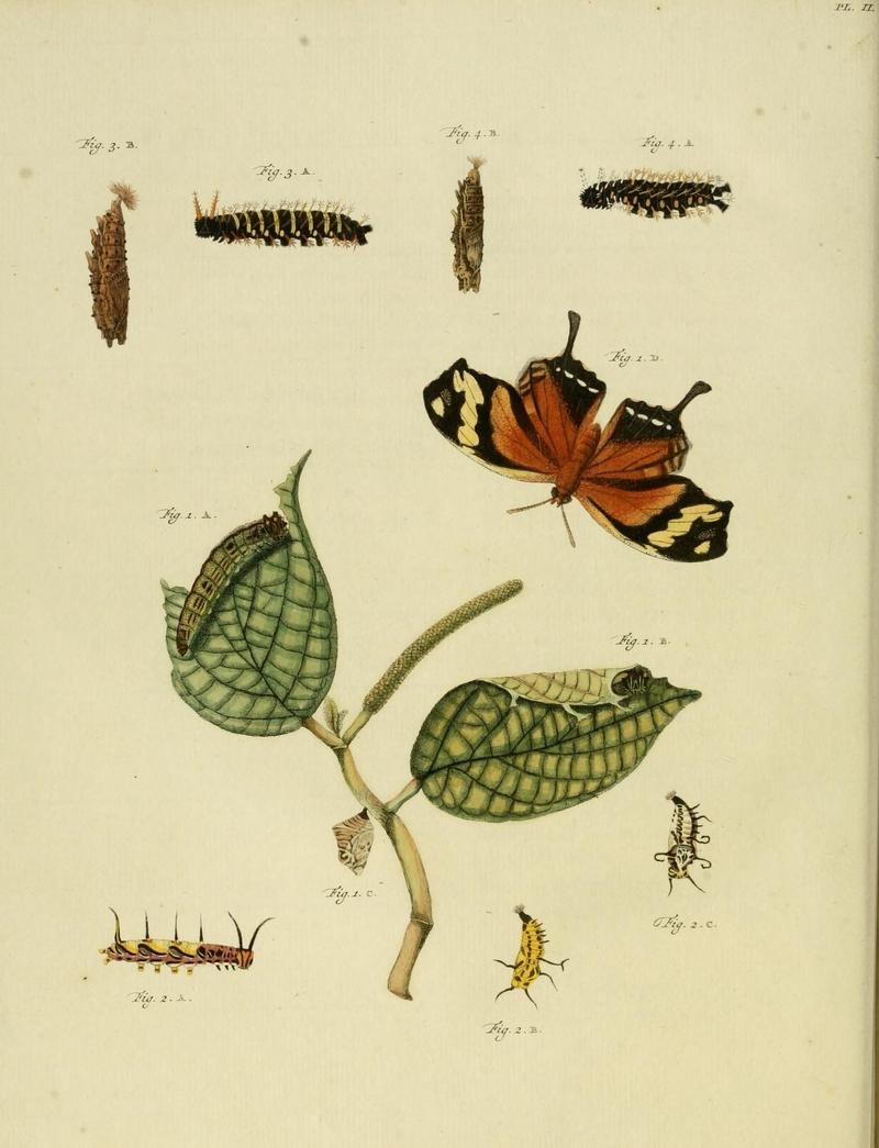 Aanhangsel van het werk, De uitlandsche kapellen (10422884875)