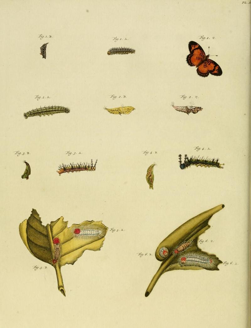 Aanhangsel van het werk, De uitlandsche kapellen (10422890505)