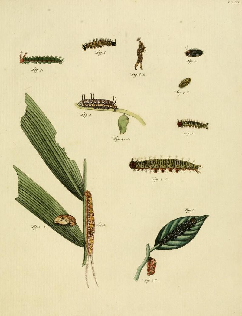 Aanhangsel van het werk, De uitlandsche kapellen (10422892646)