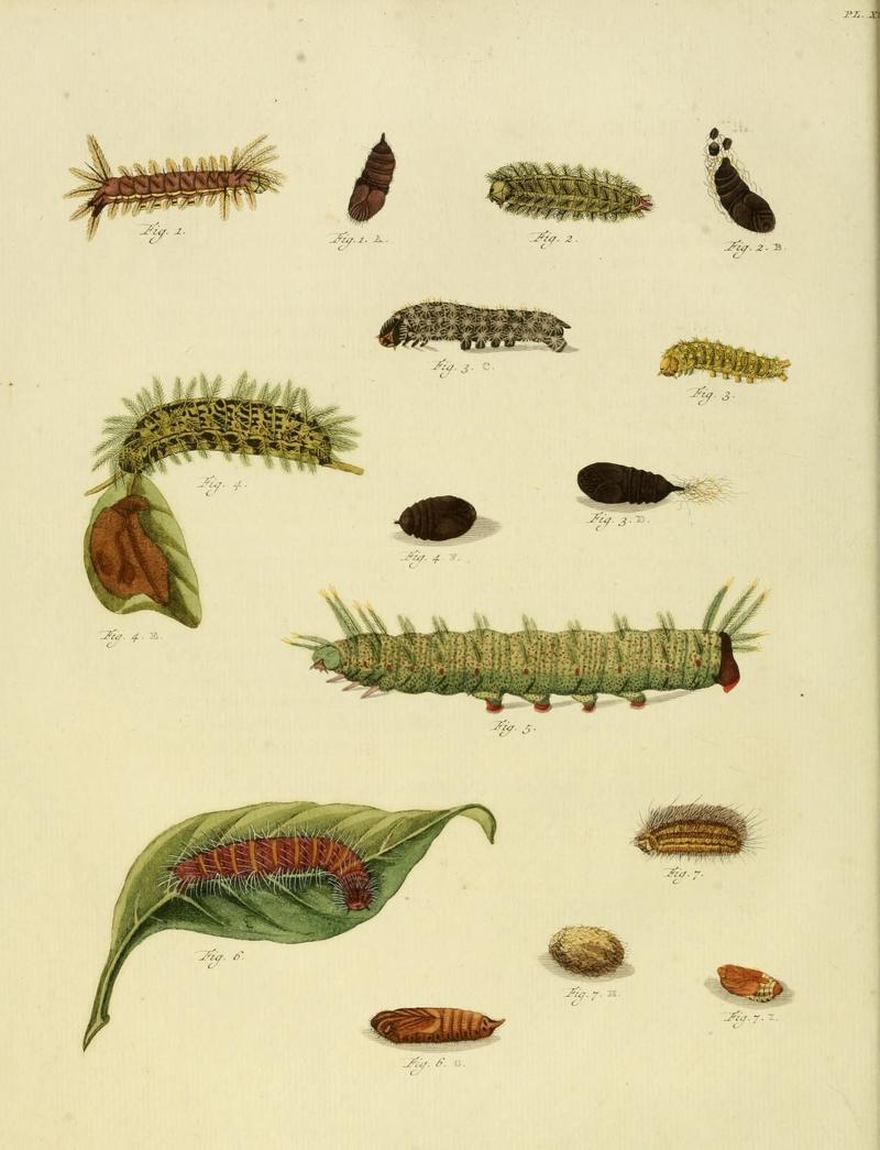 Aanhangsel van het werk, De uitlandsche kapellen (10422896794)