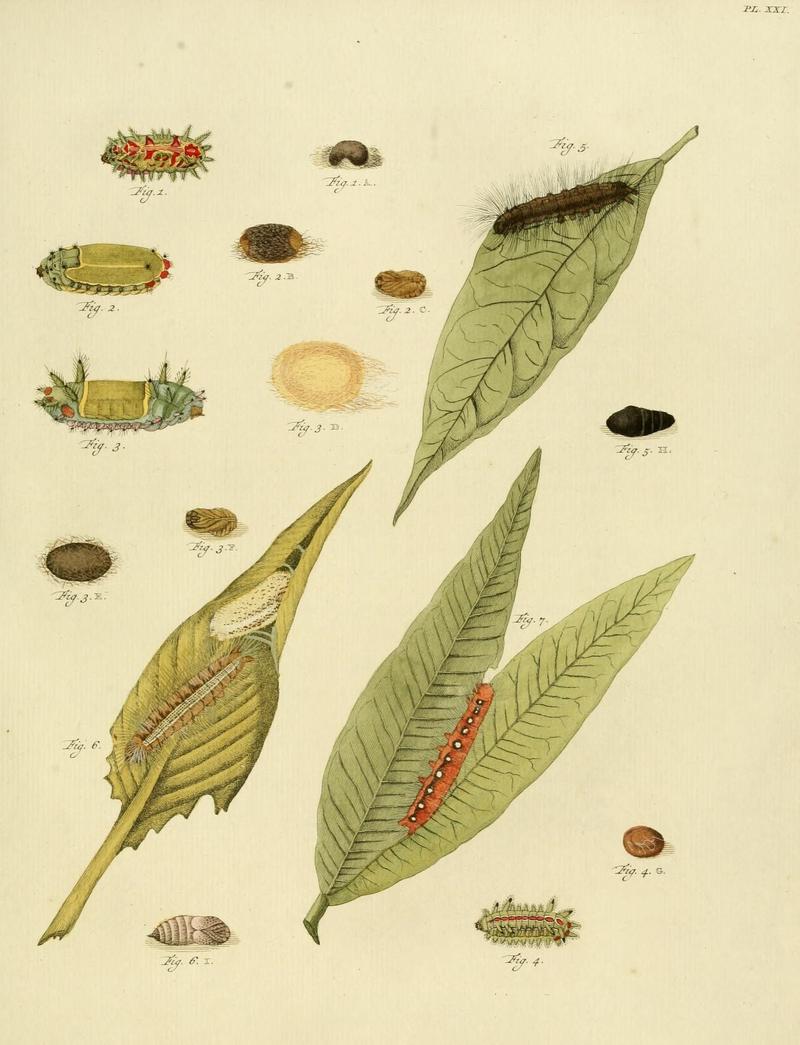 Aanhangsel van het werk, De uitlandsche kapellen (10422909434)