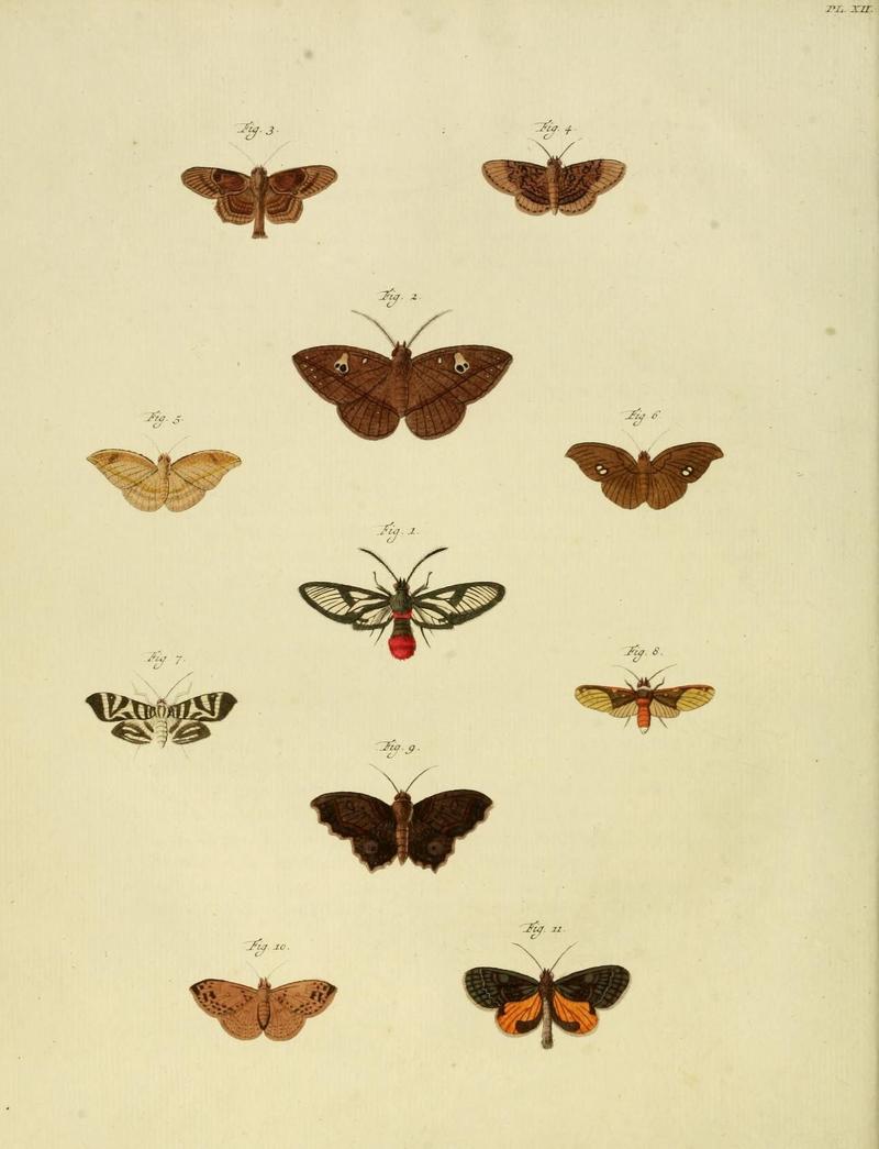 Aanhangsel van het werk, De uitlandsche kapellen (10422914165)