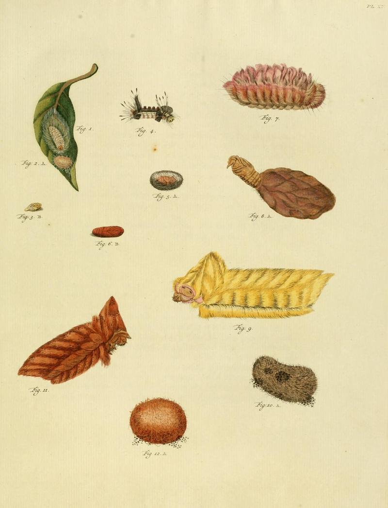 Aanhangsel van het werk, De uitlandsche kapellen (10422920066)