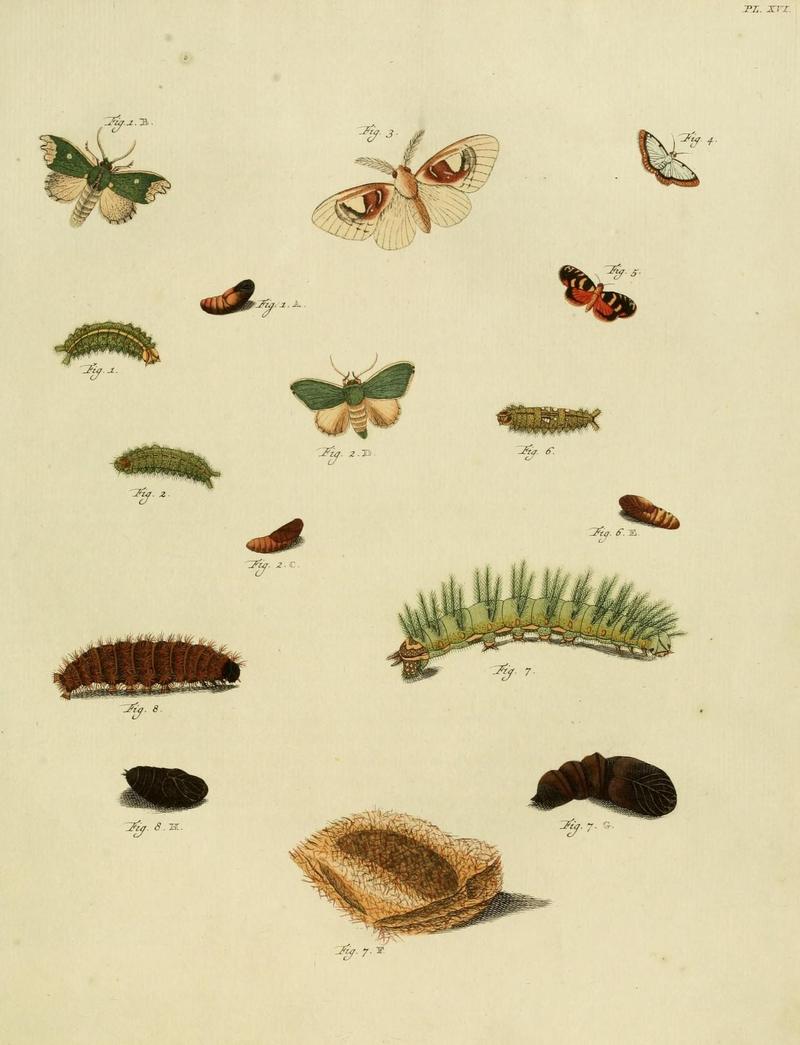 Aanhangsel van het werk, De uitlandsche kapellen (10422922956)