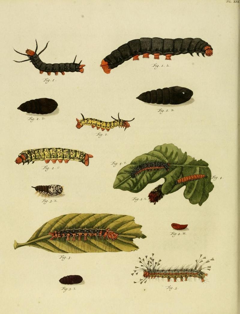 Aanhangsel van het werk, De uitlandsche kapellen (10422931956)