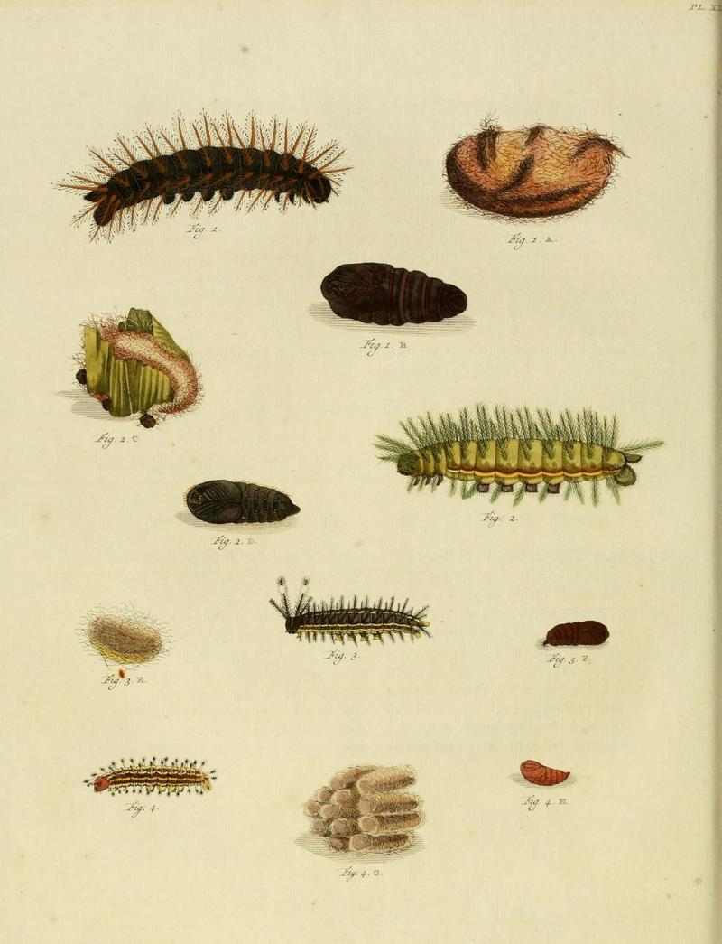 Aanhangsel van het werk, De uitlandsche kapellen (10422939225)