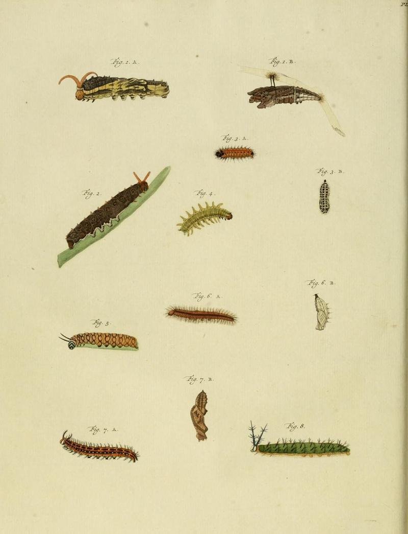 Aanhangsel van het werk, De uitlandsche kapellen (10423019713)