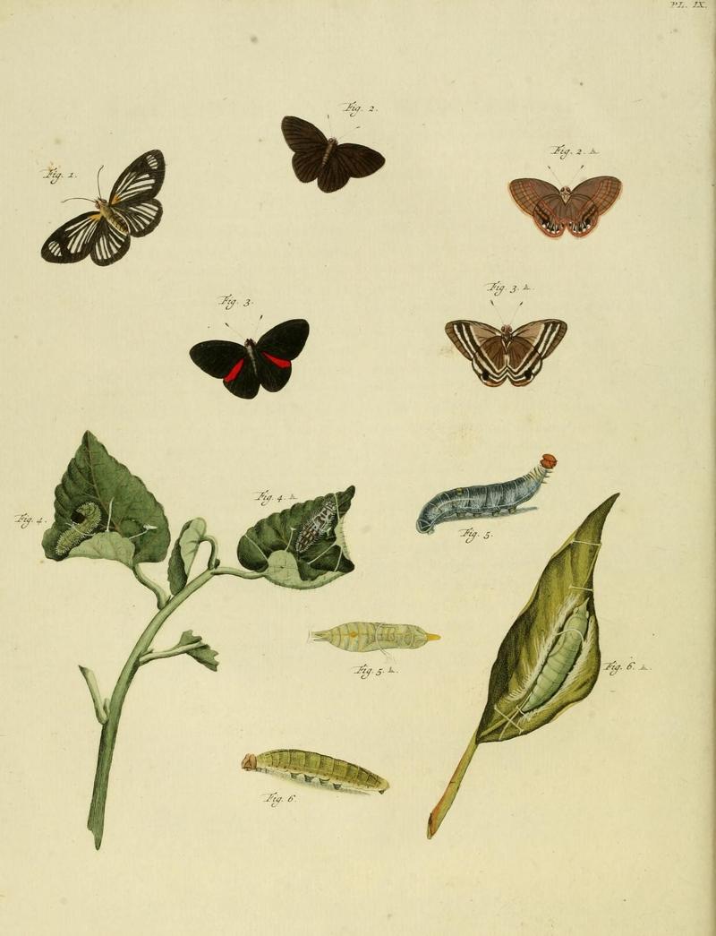 Aanhangsel van het werk, De uitlandsche kapellen (10423043833)