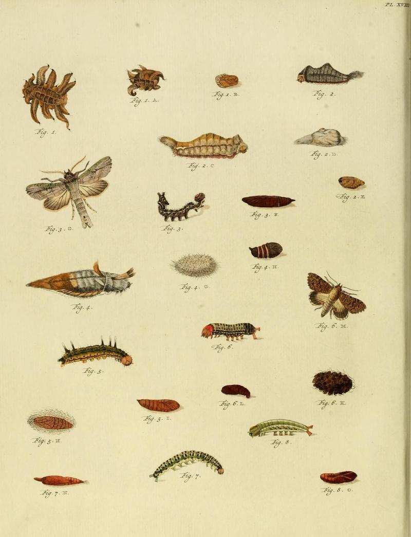 Aanhangsel van het werk, De uitlandsche kapellen (10423071373)