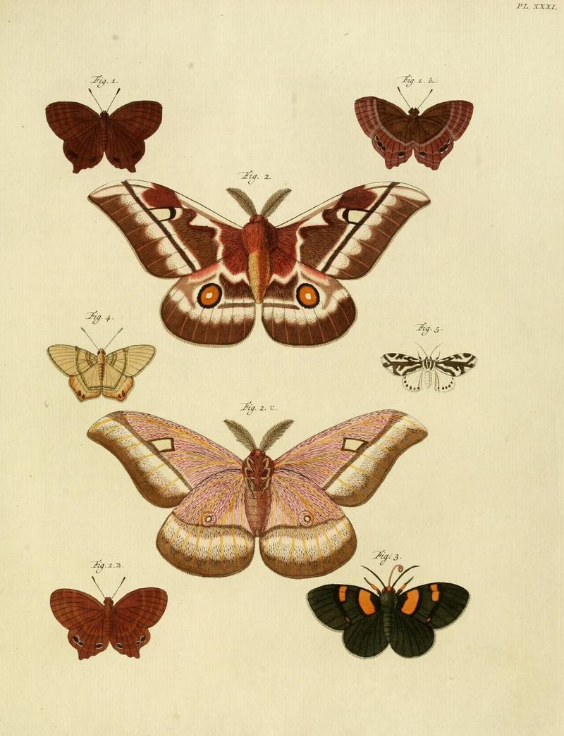 Aanhangsel van het werk, De uitlandsche kapellen (10423287934)