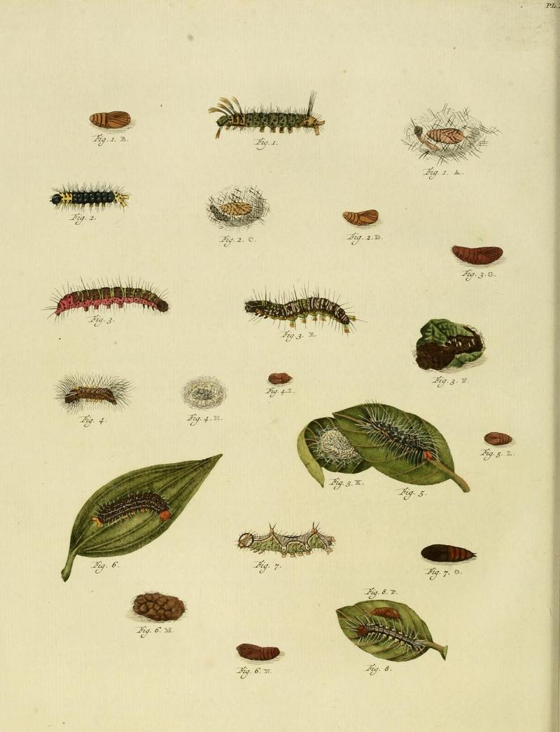 Aanhangsel van het werk, De uitlandsche kapellen (10423291426)