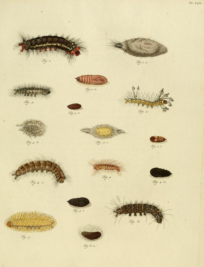 Aanhangsel van het werk, De uitlandsche kapellen (10423298735)