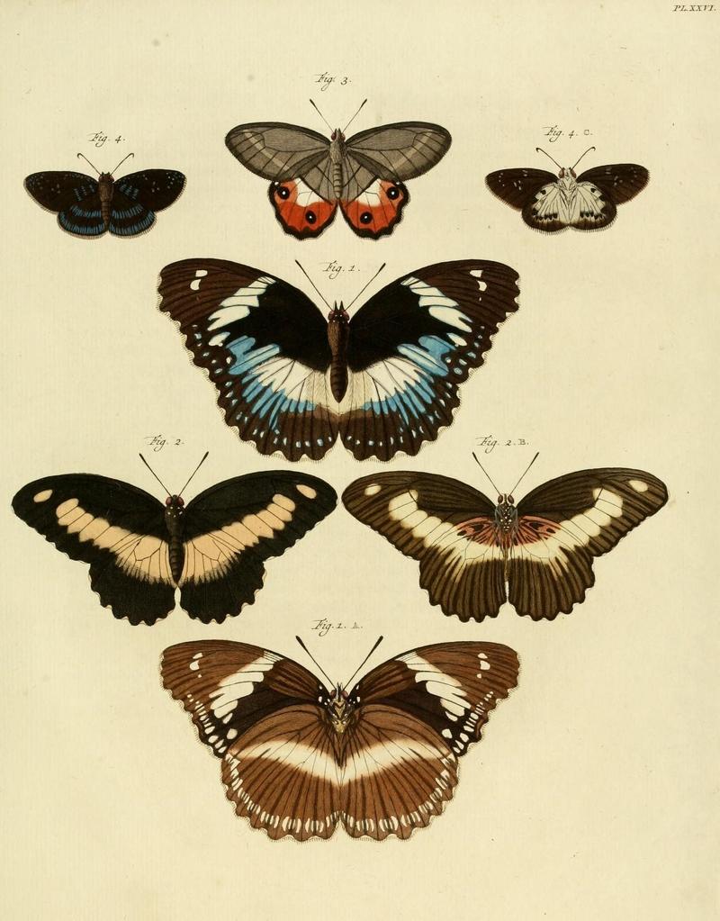 Aanhangsel van het werk, De uitlandsche kapellen (10423300886)