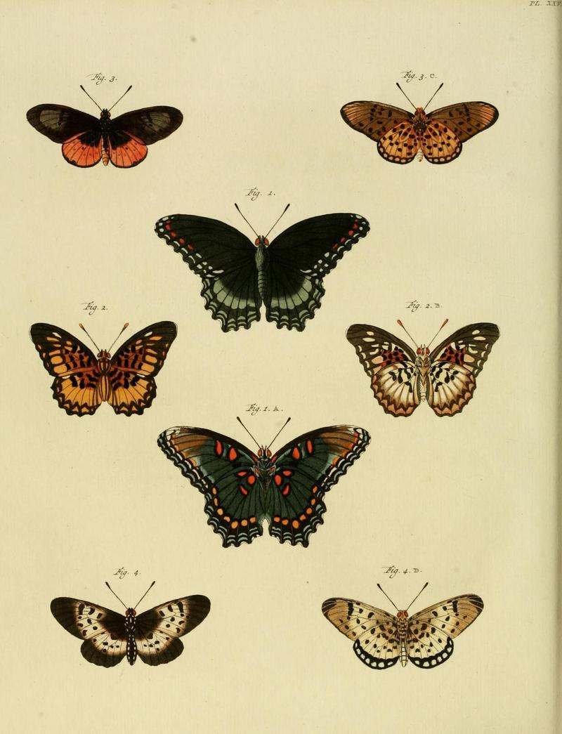 Aanhangsel van het werk, De uitlandsche kapellen (10423301455)