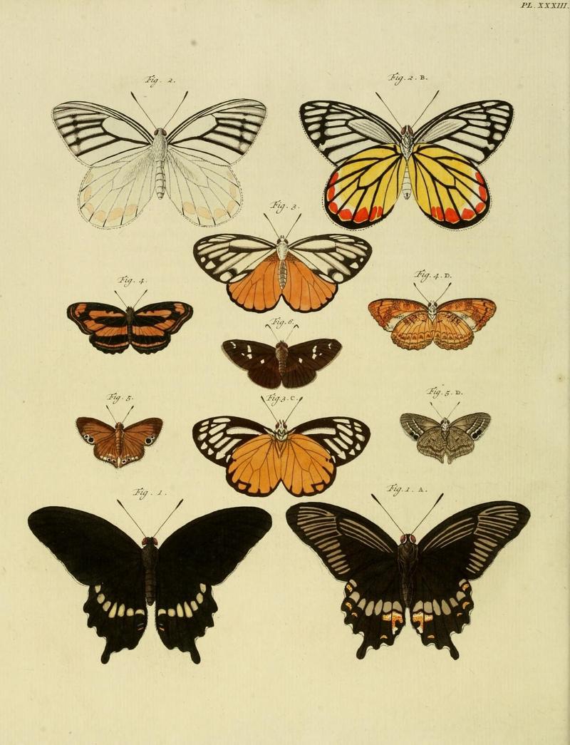 Aanhangsel van het werk, De uitlandsche kapellen (10423325456)