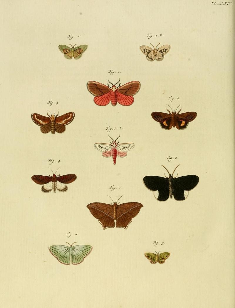 Aanhangsel van het werk, De uitlandsche kapellen (10423334085)