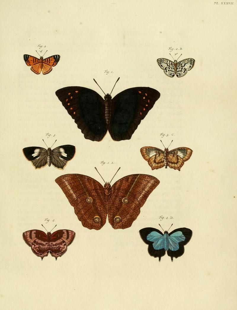 Aanhangsel van het werk, De uitlandsche kapellen (10423343545)