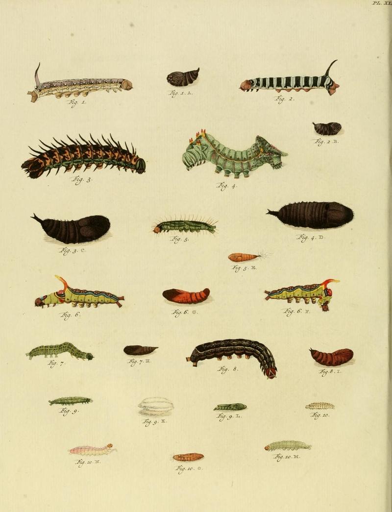 Aanhangsel van het werk, De uitlandsche kapellen (10423430323)