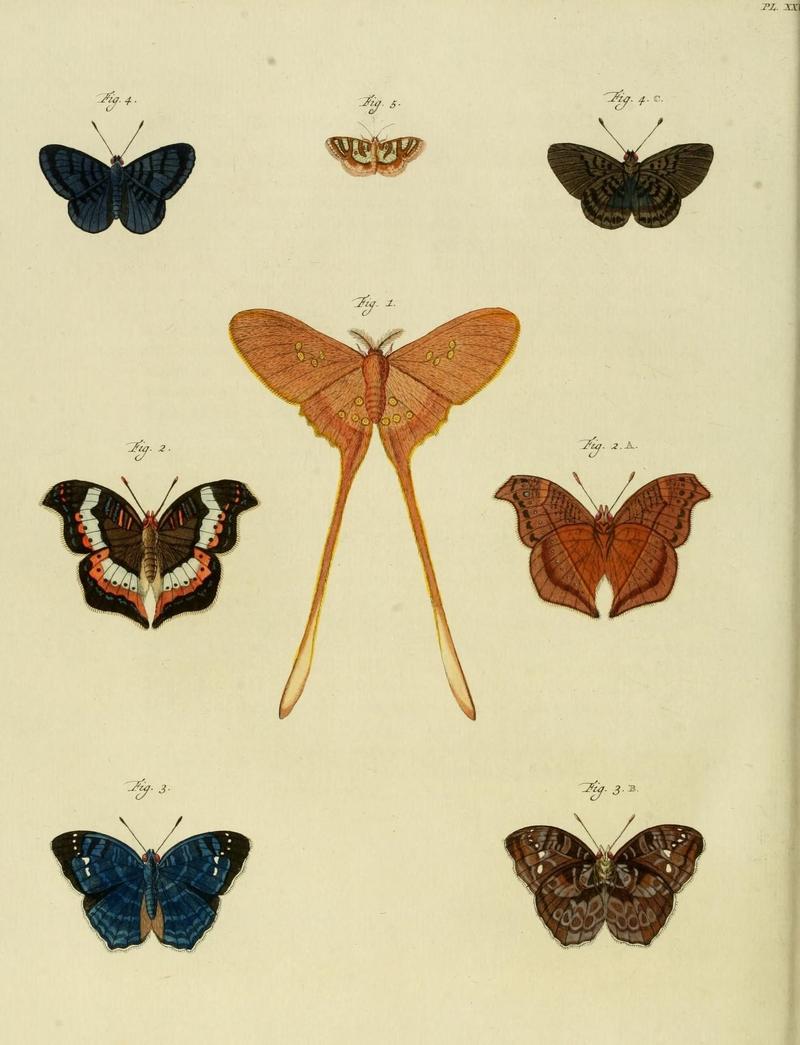 Aanhangsel van het werk, De uitlandsche kapellen (10423445323)