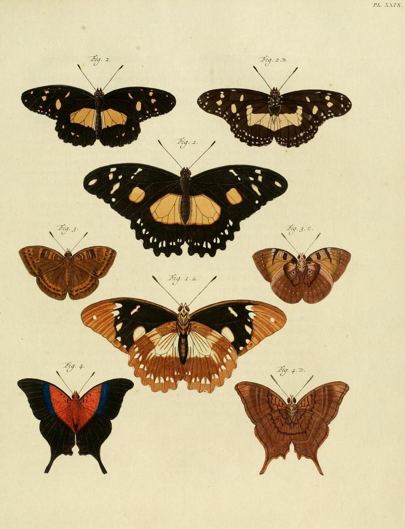 Aanhangsel van het werk, De uitlandsche kapellen (10423452513)