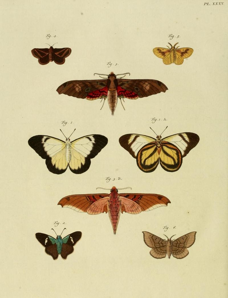 Aanhangsel van het werk, De uitlandsche kapellen (10423473943)