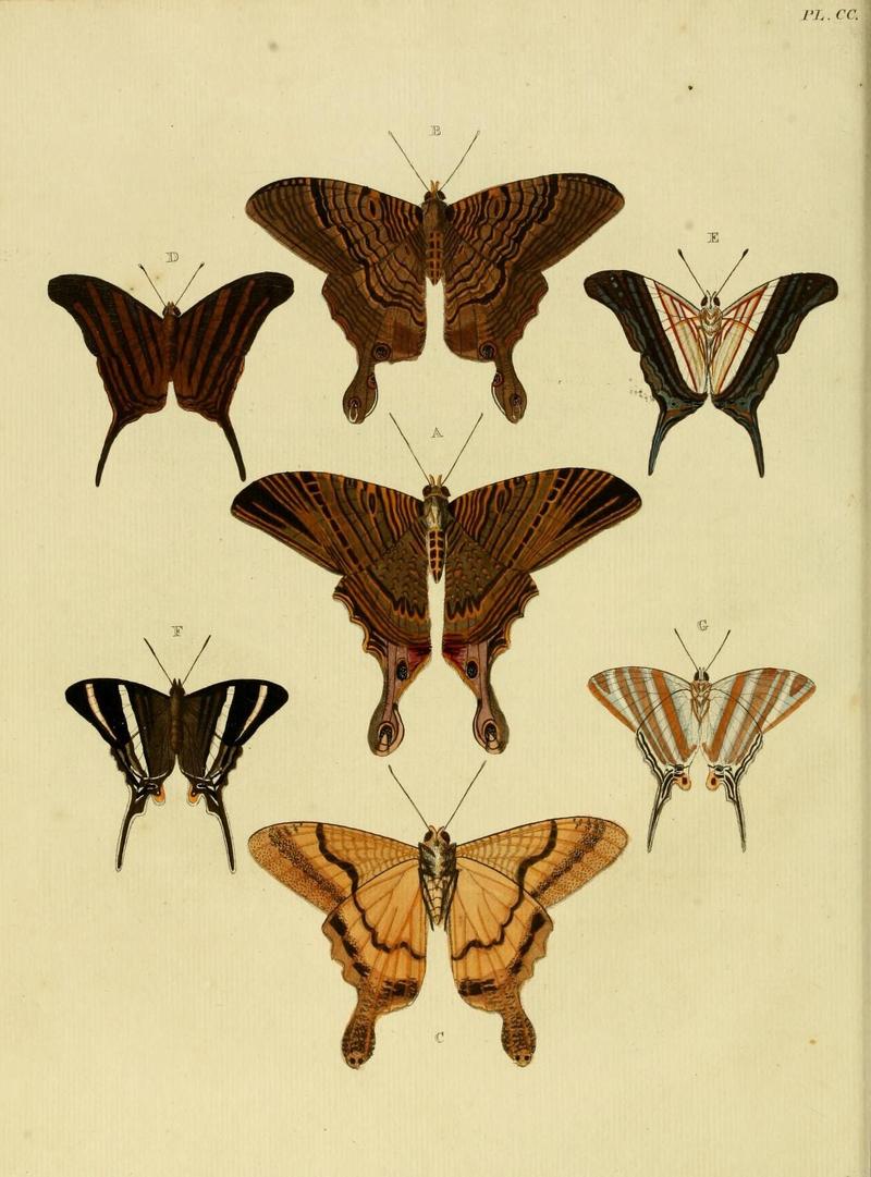 Aanhangsel van het werk, De uitlandsche kapellen (Pl. CC) (8227459762)