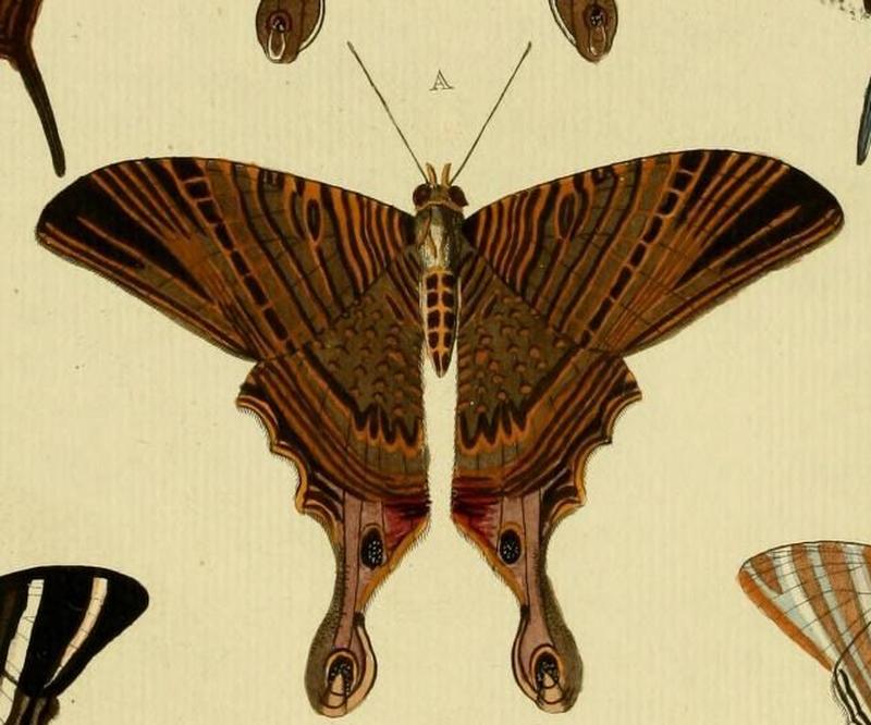 Aanhangsel van het werk, De uitlandsche kapellen (Pl. CC) (8227459762) (A)