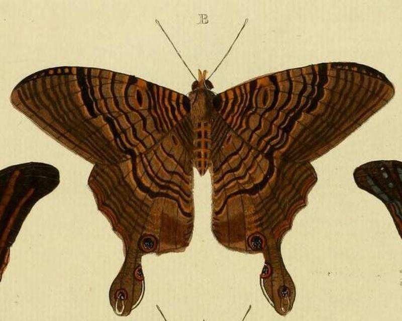 Aanhangsel van het werk, De uitlandsche kapellen (Pl. CC) (8227459762) (B)