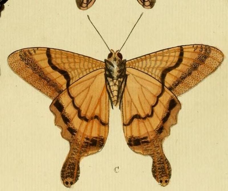 Aanhangsel van het werk, De uitlandsche kapellen (Pl. CC) (8227459762) (C)