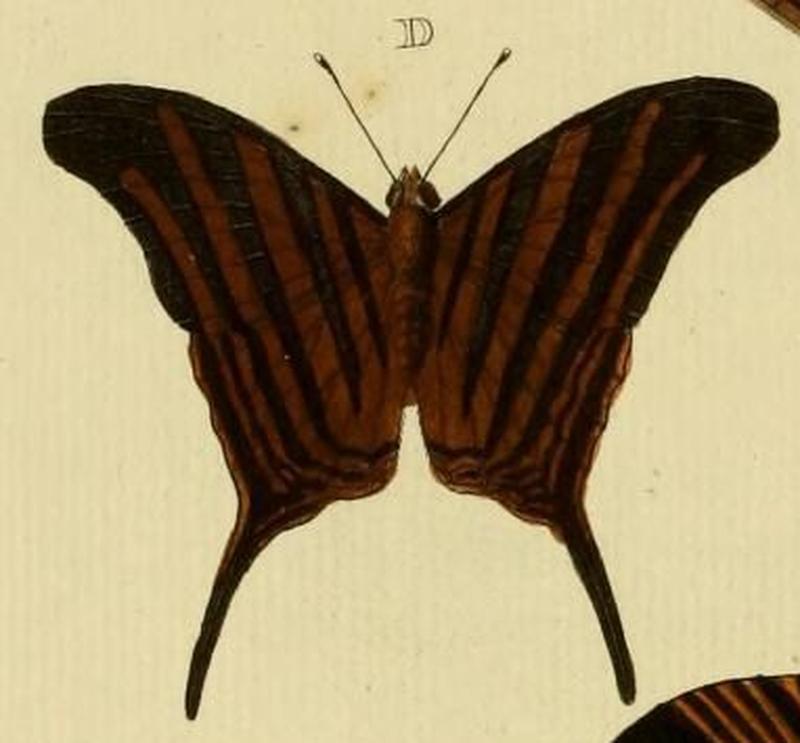 Aanhangsel van het werk, De uitlandsche kapellen (Pl. CC) (8227459762) (D)