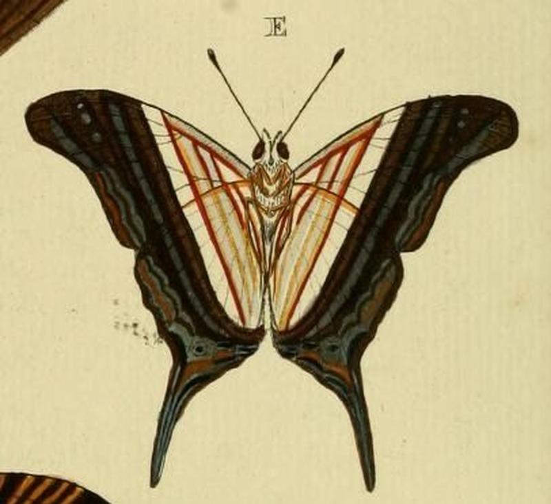 Aanhangsel van het werk, De uitlandsche kapellen (Pl. CC) (8227459762) (E)