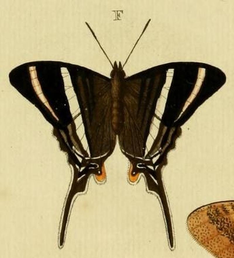 Aanhangsel van het werk, De uitlandsche kapellen (Pl. CC) (8227459762) (F)