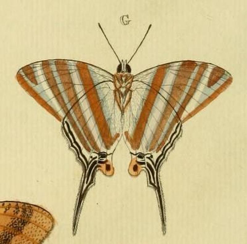 Aanhangsel van het werk, De uitlandsche kapellen (Pl. CC) (8227459762) (G)