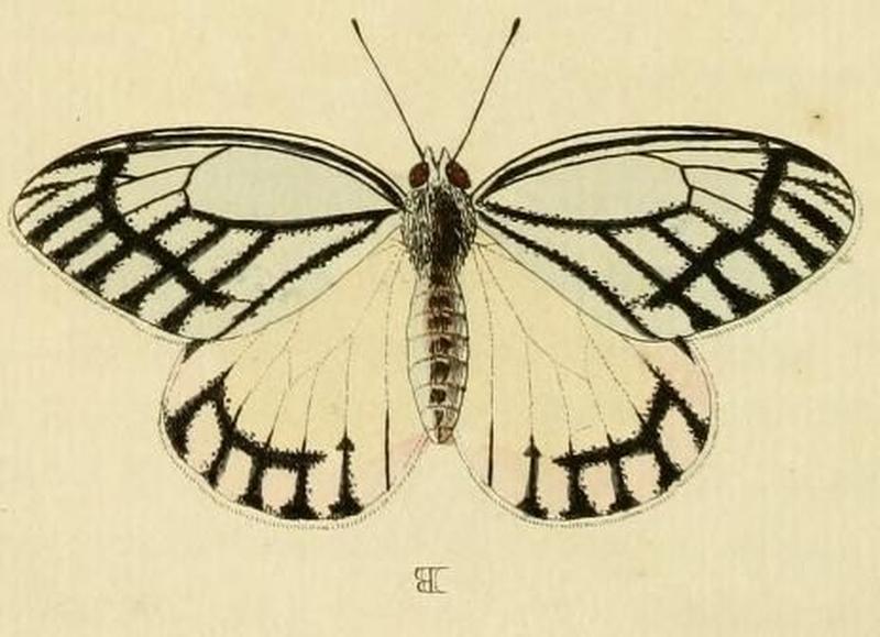 Aanhangsel van het werk, De uitlandsche kapellen (Pl. CCI) (8226387529) (B)