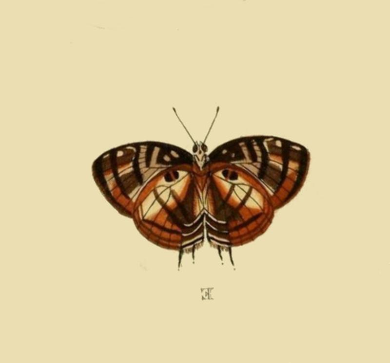 Aanhangsel van het werk, De uitlandsche kapellen (Pl. CCI) (8226387529) (E)