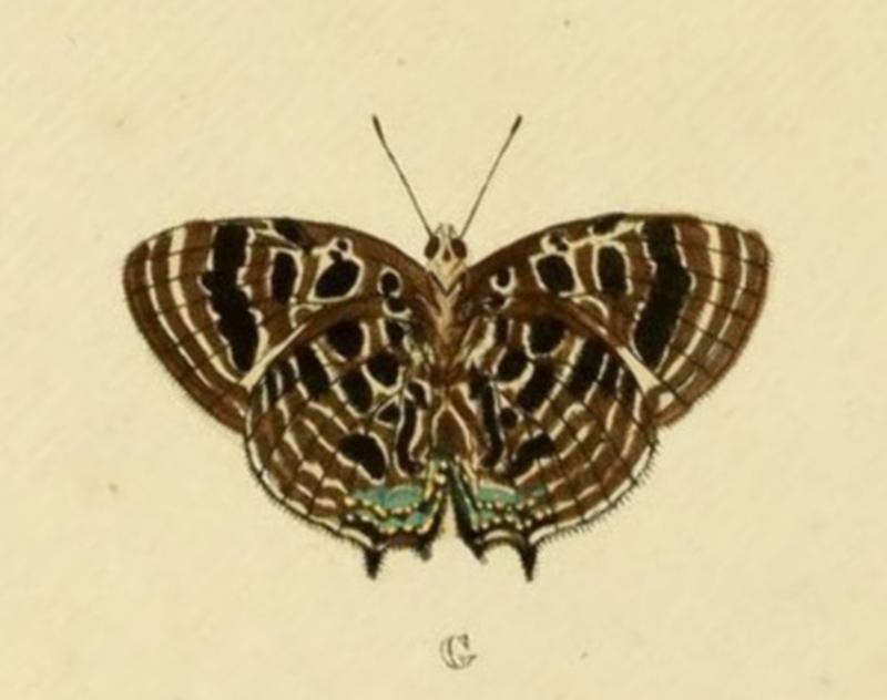 Aanhangsel van het werk, De uitlandsche kapellen (Pl. CCI) (8226387529) (G)