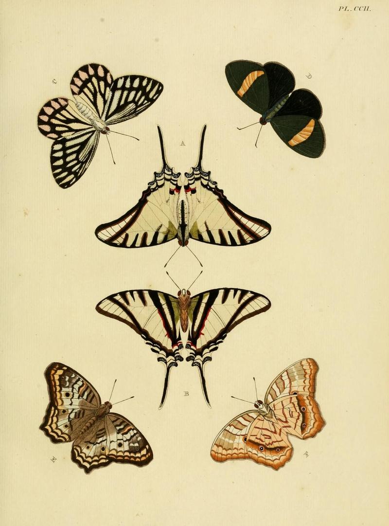 Aanhangsel van het werk, De uitlandsche kapellen (Pl. CCII) (8226387865)