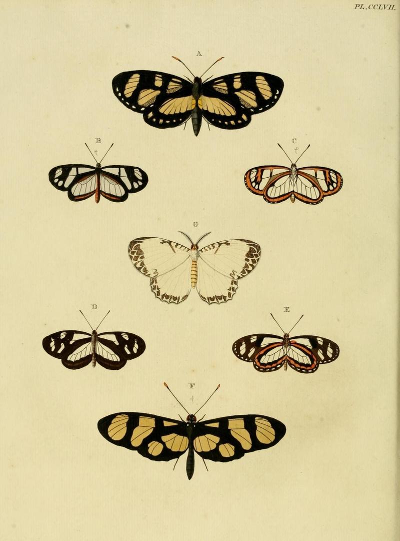 Aanhangsel van het werk, De uitlandsche kapellen (Pl. CCLVII) (8227479842)